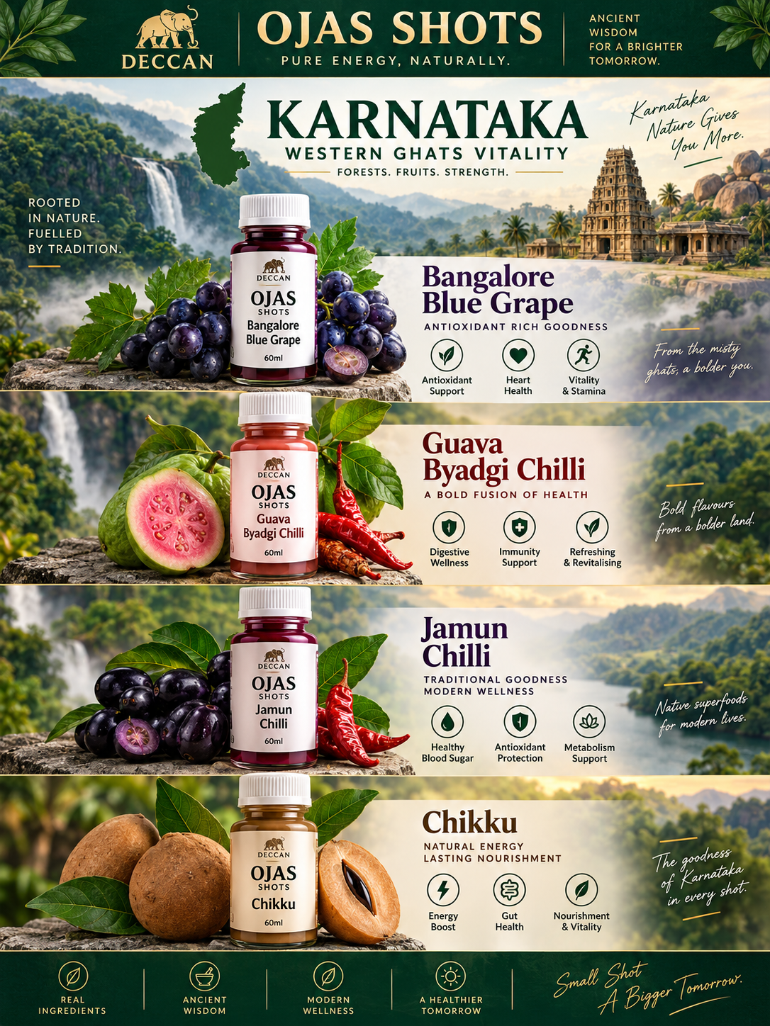 Deccan OJAS Karnataka Western Ghats Vitality Box